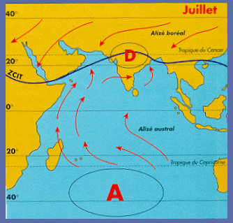 trade_winds